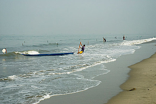 虾,油炸,收集,渔民,放,网,野外,市场,海滩,四月,2007年,孟加拉,大,重要