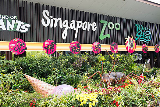 入口,新加坡动物园