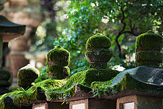 特写,神祠,奈良,日本