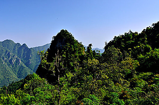 莲花山