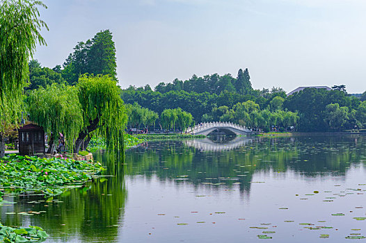 湖北武汉,东湖,风景区,夏日,风光