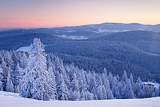 冬季风景,日出,风景,黑森林,巴登符腾堡,德国