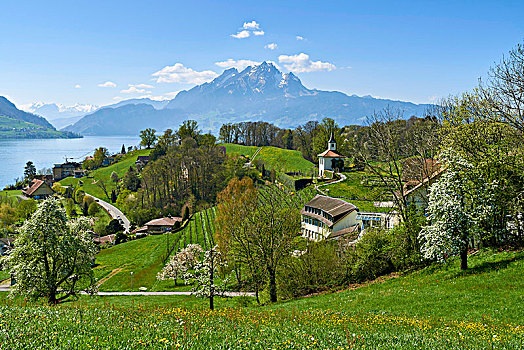 小教堂,琉森湖,后面,皮拉图斯,瑞士,欧洲