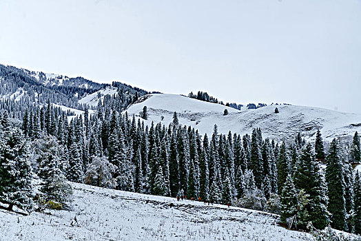 那拉提牧场雪景