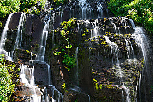 长白山望天鹅景区