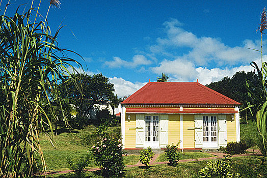 留尼汪岛,传统,房子
