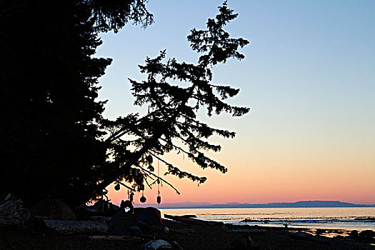 加拿大,环太平洋国家公园,西海岸小径,日出,河,露营