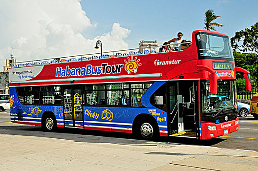 双层巴士,巴士,观光,滨海休闲区,老,城镇,哈瓦那,古巴,加勒比