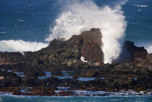 波浪,碰撞,海岸,毛伊岛,夏威夷,美国