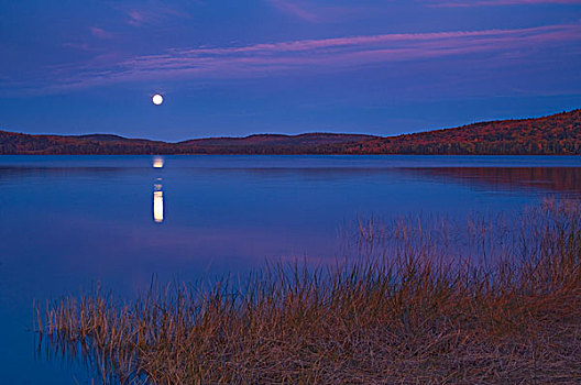 加拿大,安大略省,阿尔冈金省立公园,月出,湖,两个,河,画廊