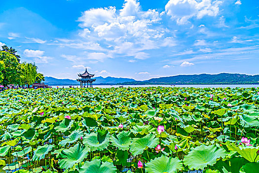 亭子,西湖,杭州