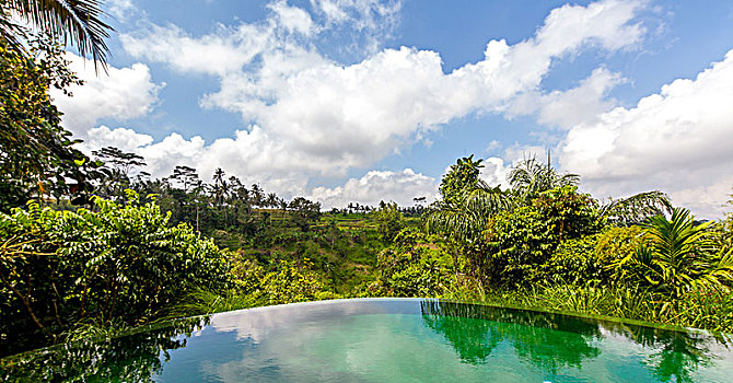 酒店,地面,水池,棕榈树,乌布,巴厘岛,印度尼西亚,亚洲