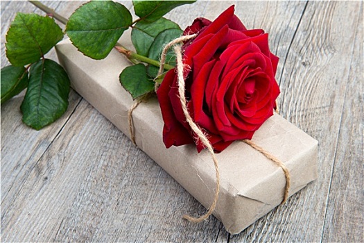 玫瑰,礼物,情人节