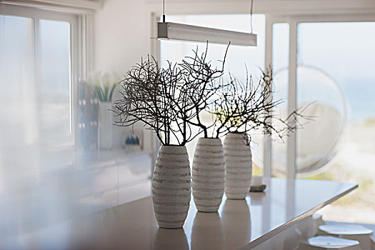 现代,白色,花瓶,枝条,厨房操作台