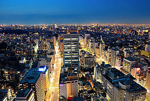 东京,城市,摩天大楼,天际线,屋顶,夜拍,日本