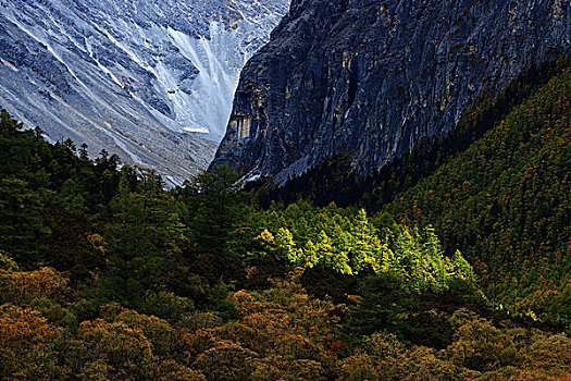 四川亚丁风景区冲古寺湿地