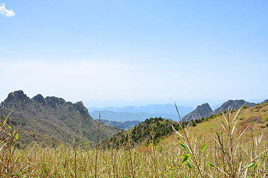 秦岭高山草甸