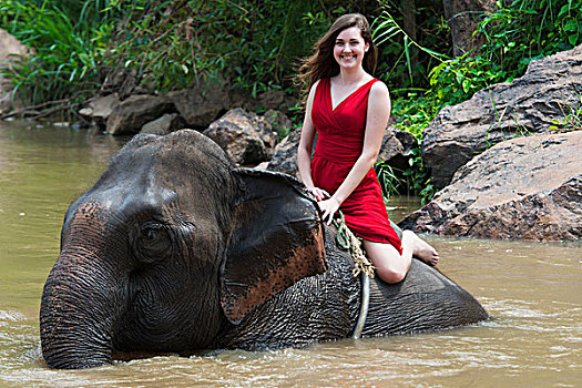 女孩,骑,大象,河,清迈,泰国