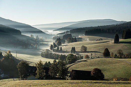 晨雾,秋天,黑森林,巴登符腾堡,德国,欧洲