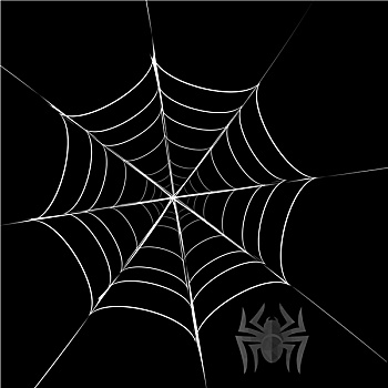 灰色,蜘蛛,蜘蛛网