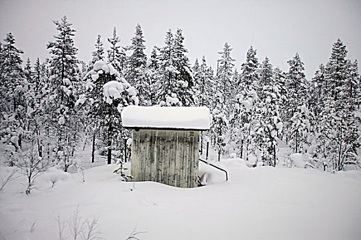 积雪,小屋,树林