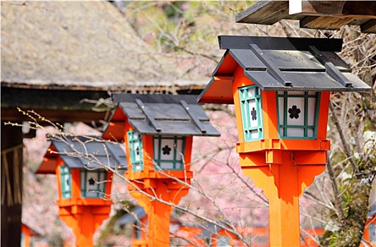 日本,红灯笼,庙宇