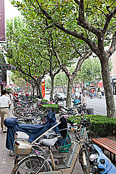 自行车,停放,四川,上海,中国
