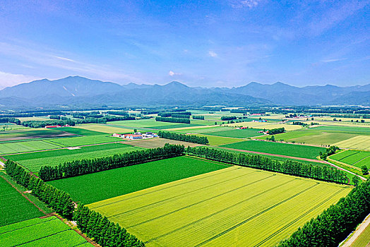 航拍,北海道,日本