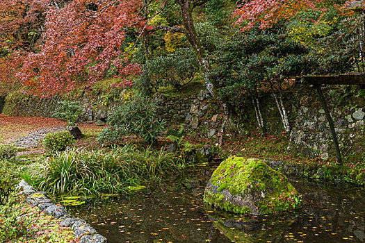 日本寺庙,秋季