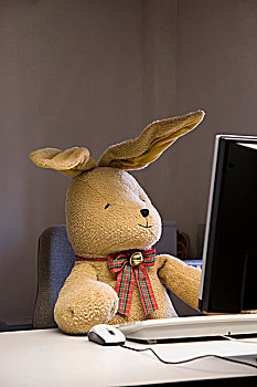 费利克斯,玩具,兔子,坐,书桌