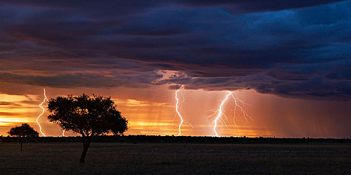 雷雨,闪电,日落,上方,卡拉哈里沙漠,禁猎区,博茨瓦纳