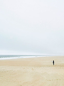 一个人,站立,冲浪板,海滩