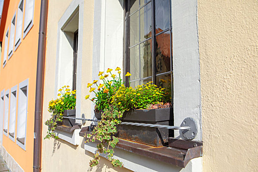 德国罗腾堡童话镇城市中每家住户美丽的窗台