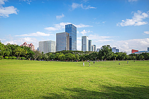 深圳莲花山公园风筝广场草地