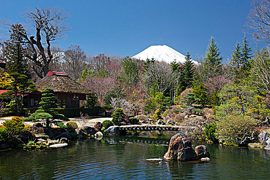 日本,城市,传统建筑,富士山