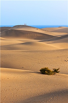 沙丘,大加那利岛,西班牙