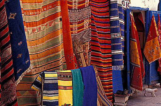 非洲,摩洛哥,地毯,小猫,市场