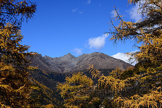 四川,亚丁,稻城,稻城亚丁,景区,甘孜州,藏族,自然,山水,雪山,风光,蓝天,天空,森林