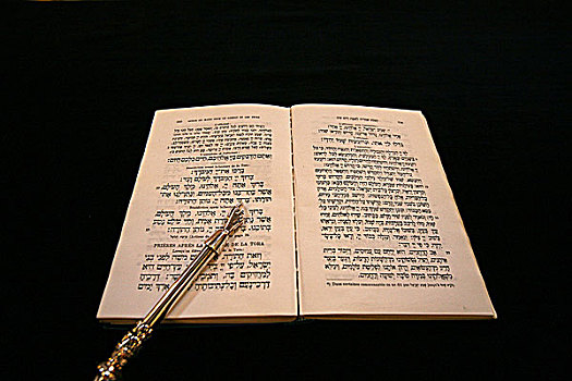 希伯来圣经,日内瓦