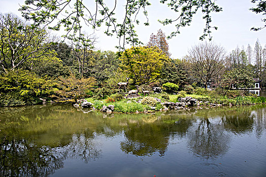 杭州植物园,山水园,风光,风景