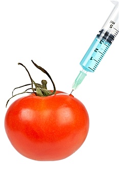 西红柿,注射器