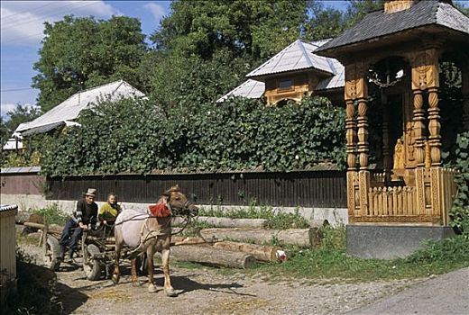 罗马尼亚,马拉穆列什,区域,乡村,伴侣,手推车,向上,马