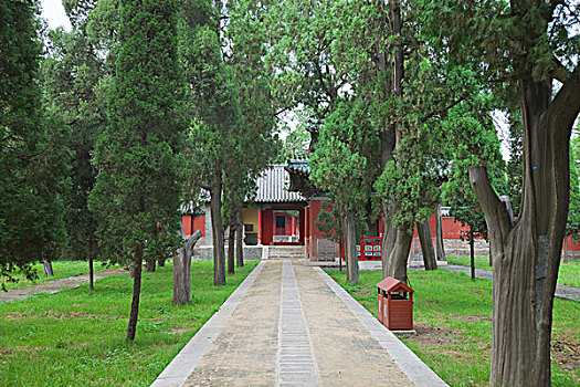 庙宇,曲阜,山东,省,中国