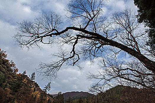 川西九寨沟县神仙沟