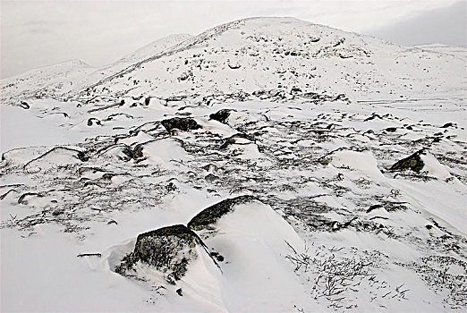 雪山,挪威