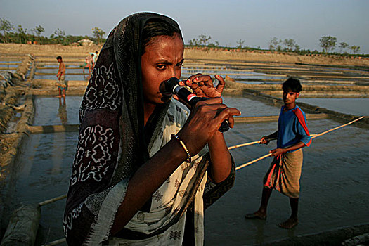 渔民,网,抓住,虾,农场,西部,库尔纳市,孟加拉,四月,2007年