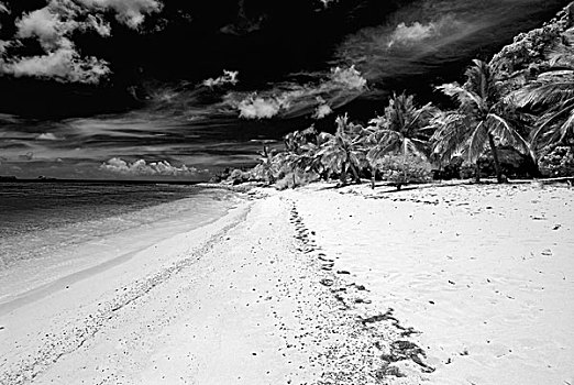 海滩,背风群岛,小安的列斯群岛,加勒比