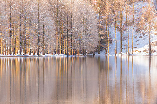 陕西汉中龙池雪景