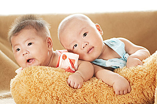 雙胞胎,相似,肖像