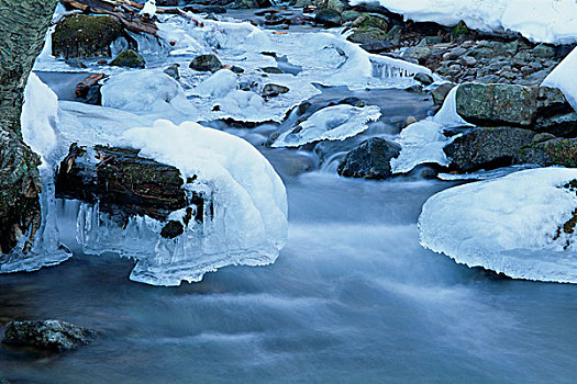 北美,科罗拉多,落基山国家公园,冰冻,冰柱
